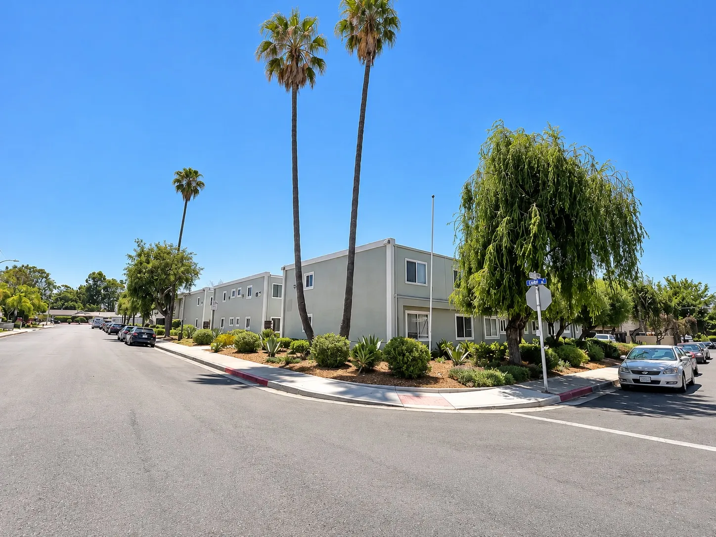 Street view of the property lined with palm trees